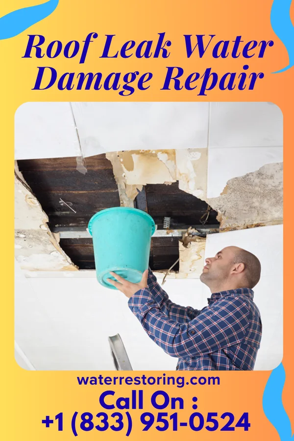 Roof Leak Water Damage Repair in Cowden, IL